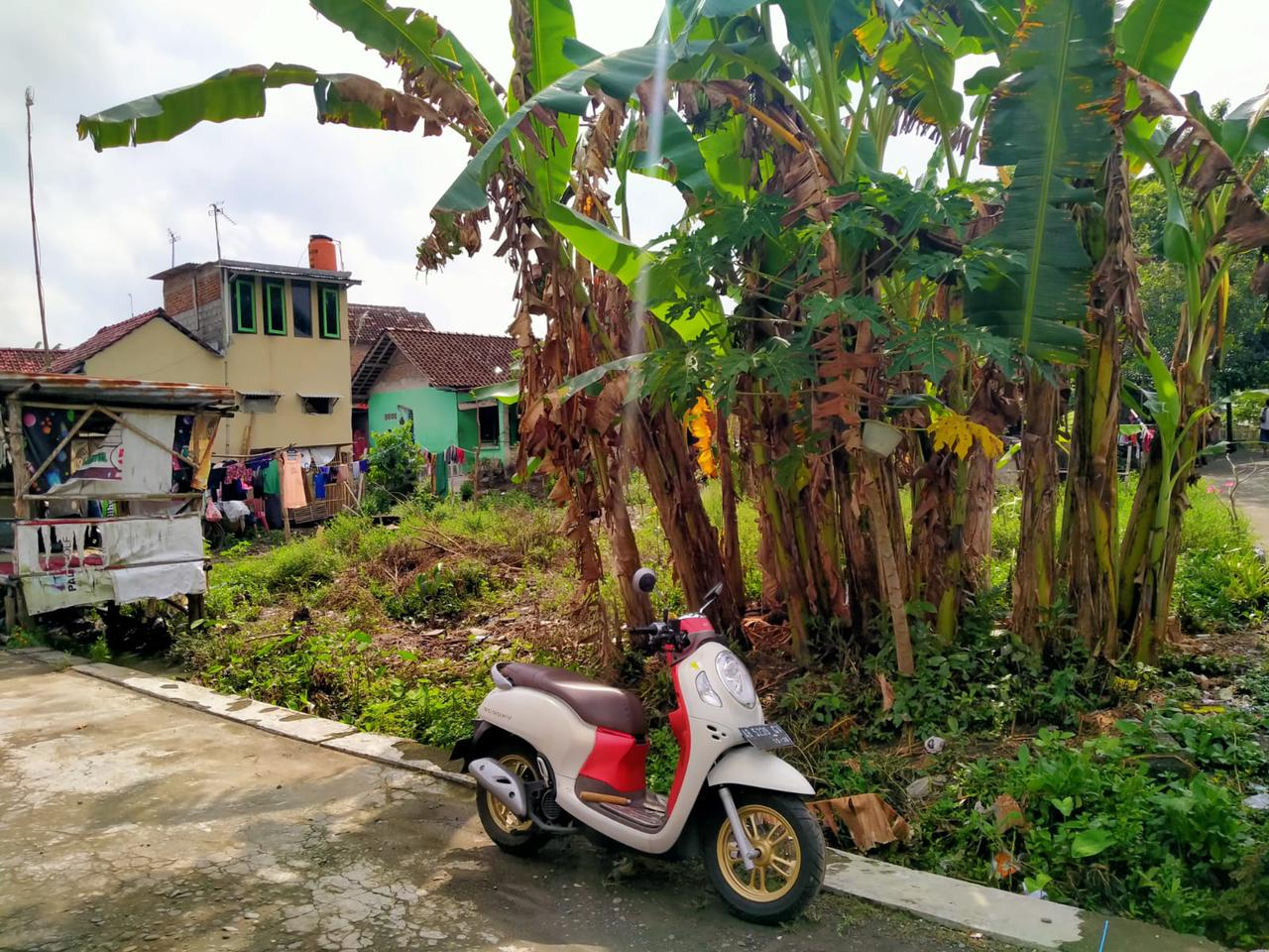 Foto 5