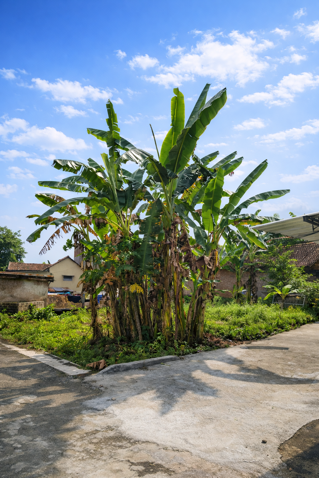 Tanah di Bantul Hook Strategis Dekat Gabusan SHM Cocok Investasi