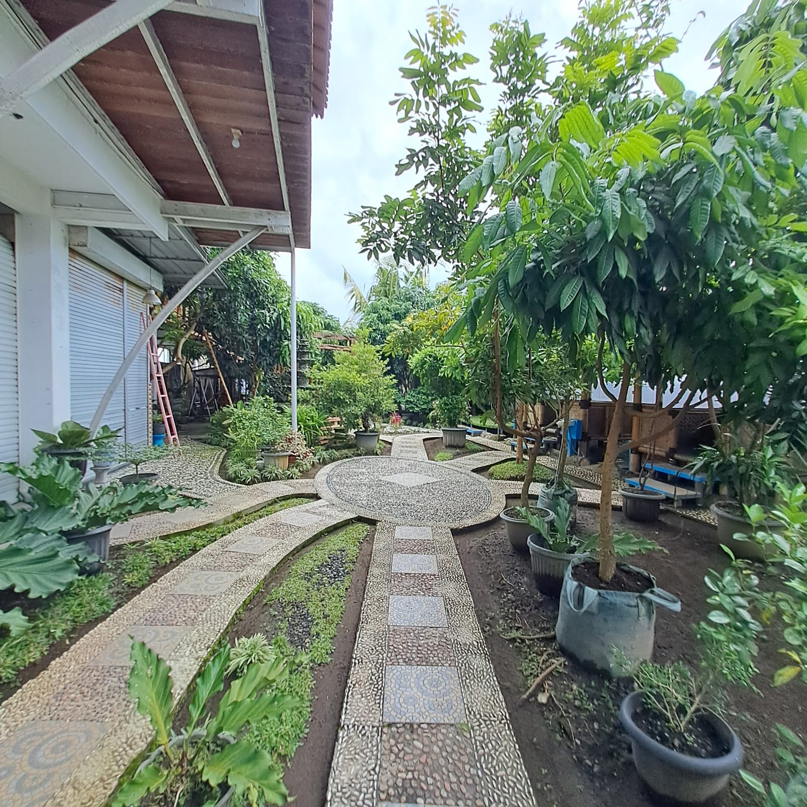 Foto 7