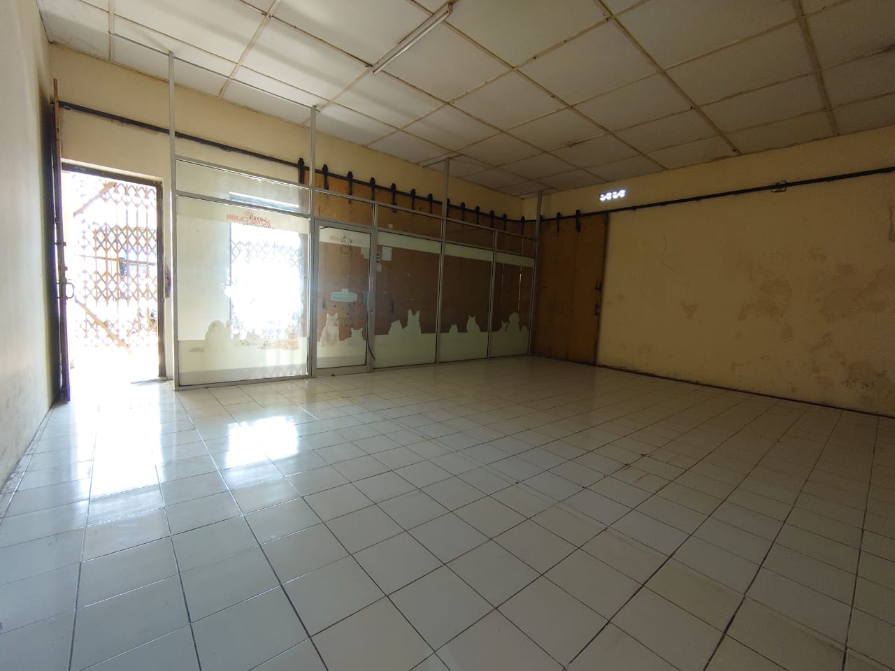 Foto 10