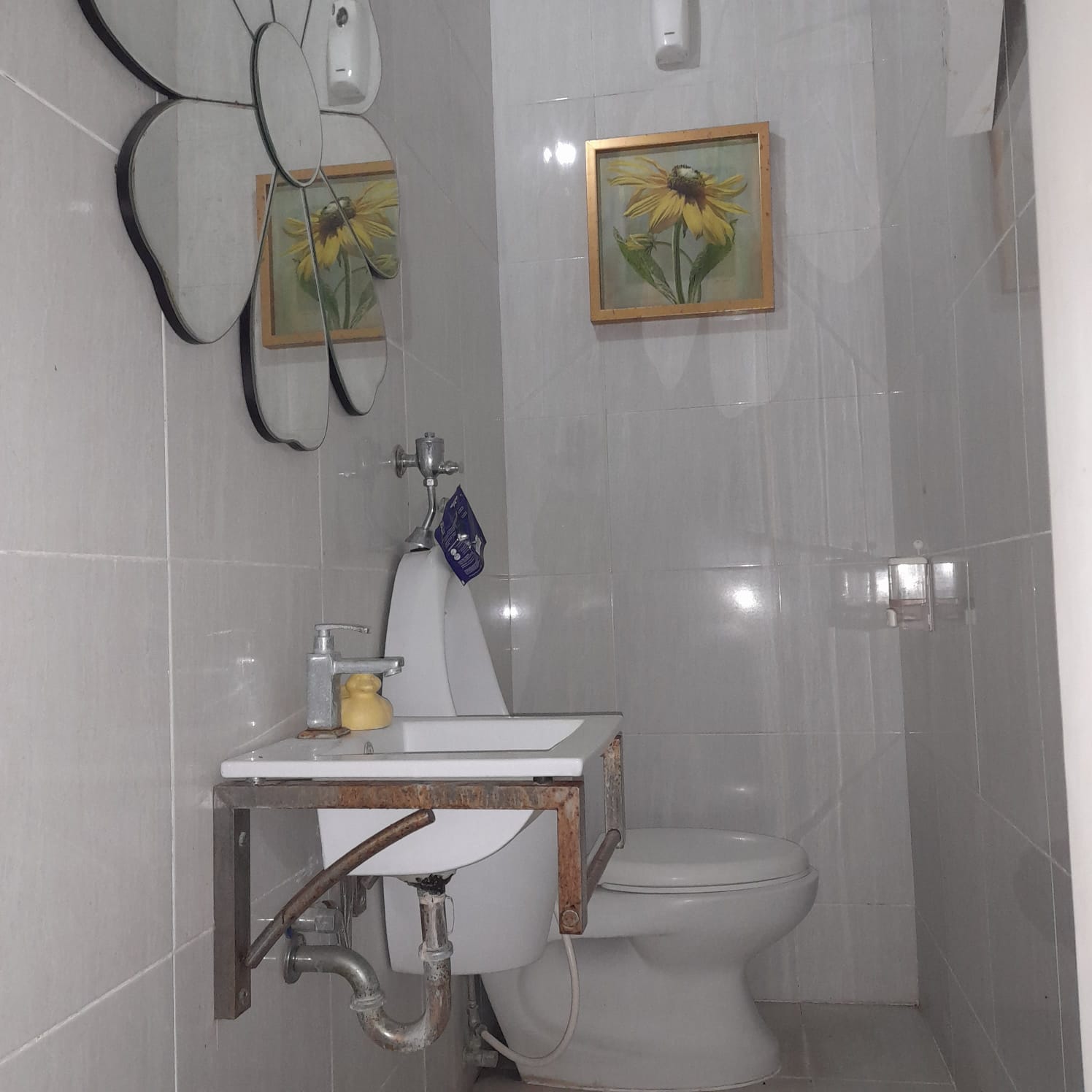 Foto 7