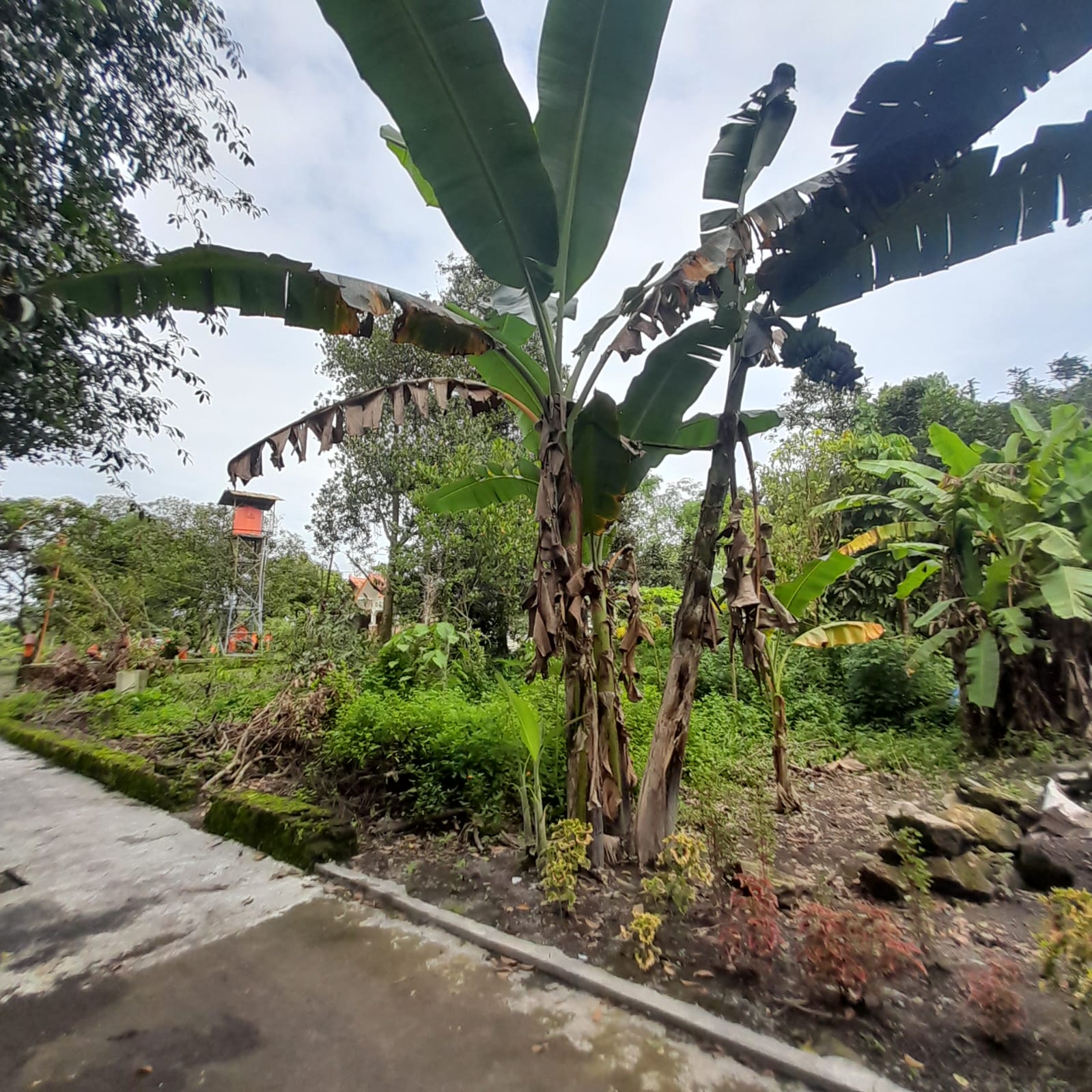 Foto 4