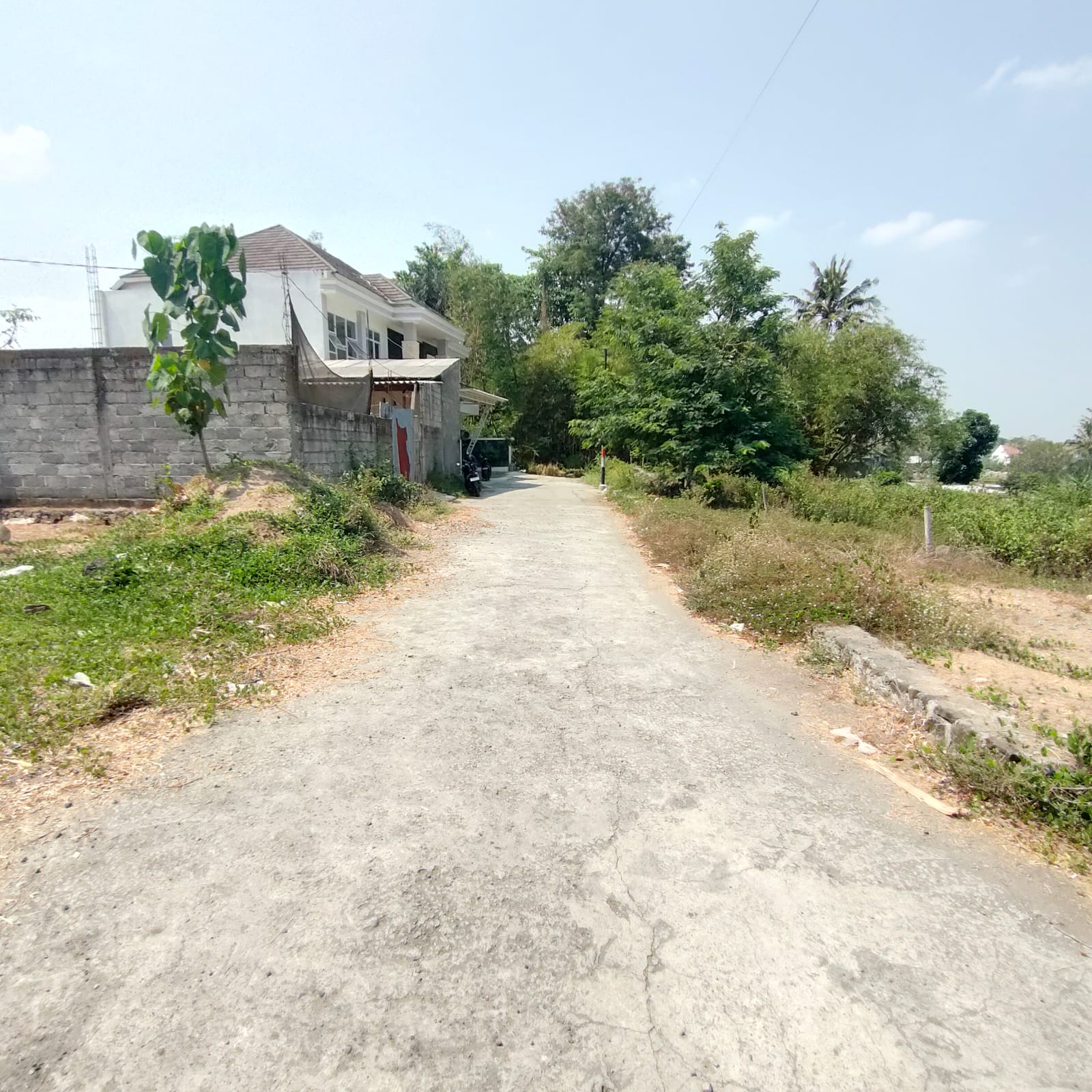 Foto 3