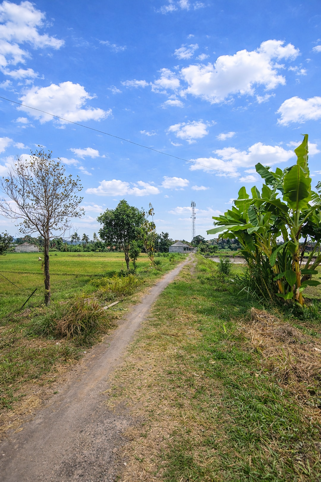 Tanah Luas di Prambanan Cocok Untuk Gudang Pabrik Siap Usaha