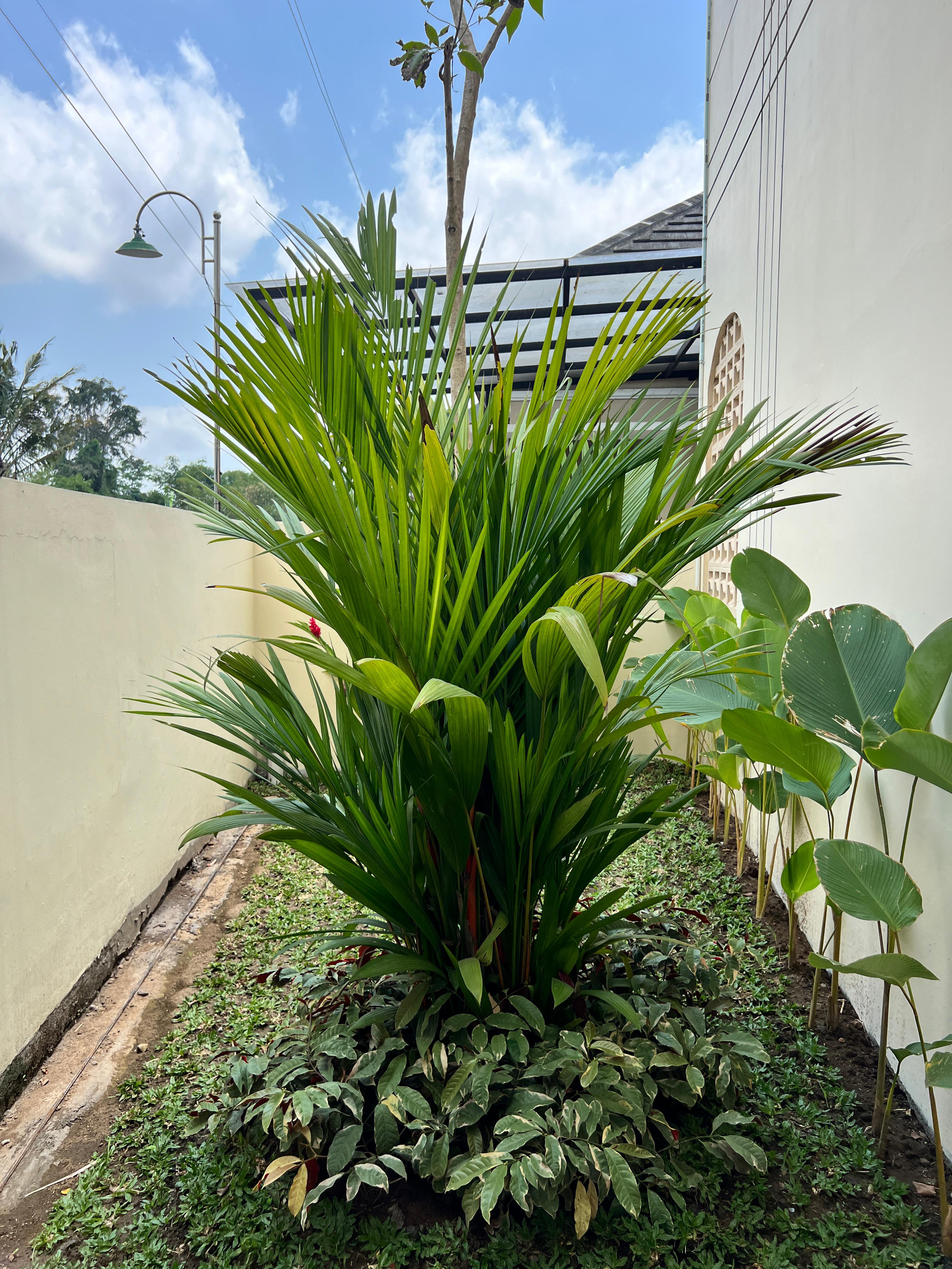 Foto 7