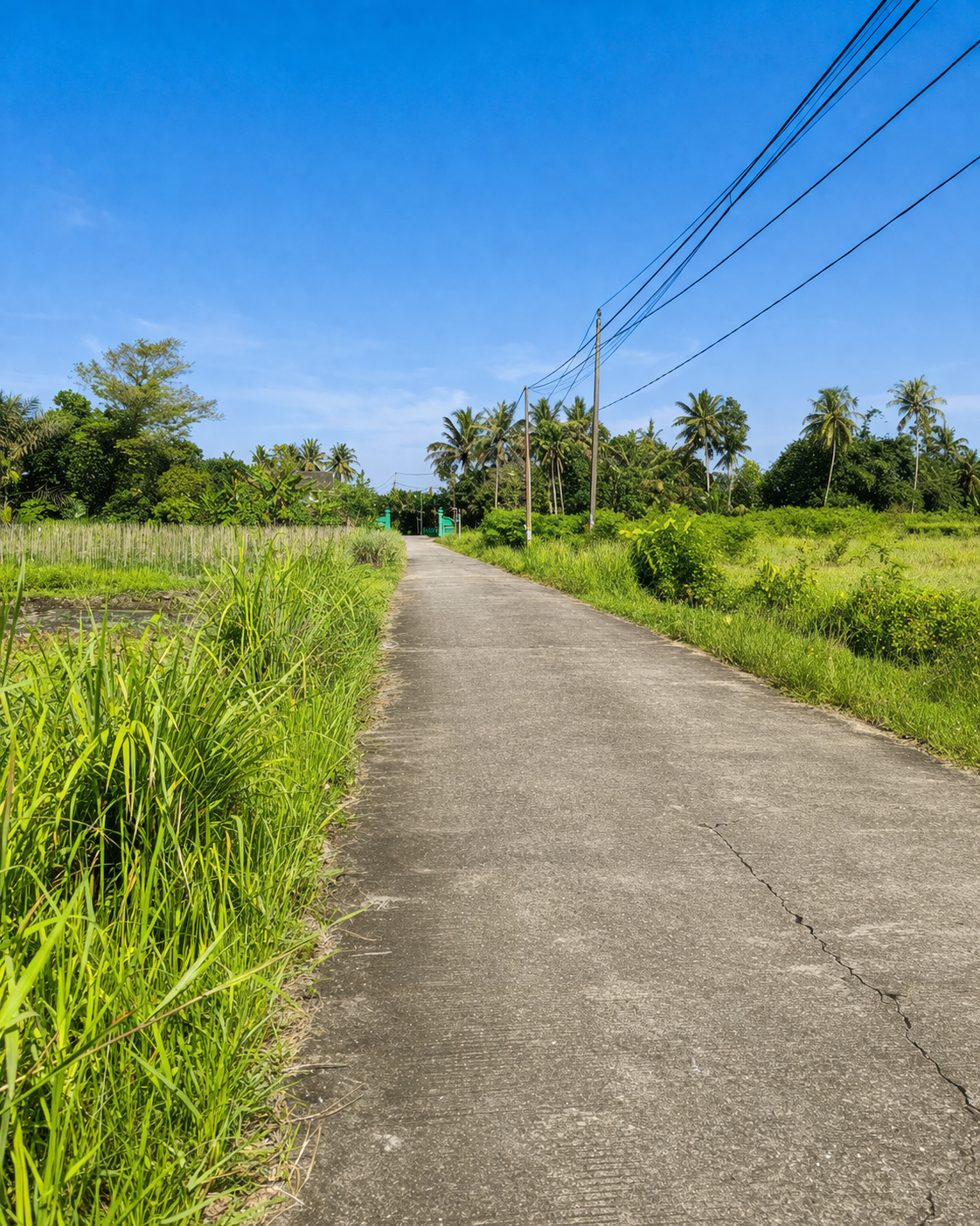 Tanah Sawah Luas di Sleman Utara Palagan Ngaglik Cocok Untuk Usaha