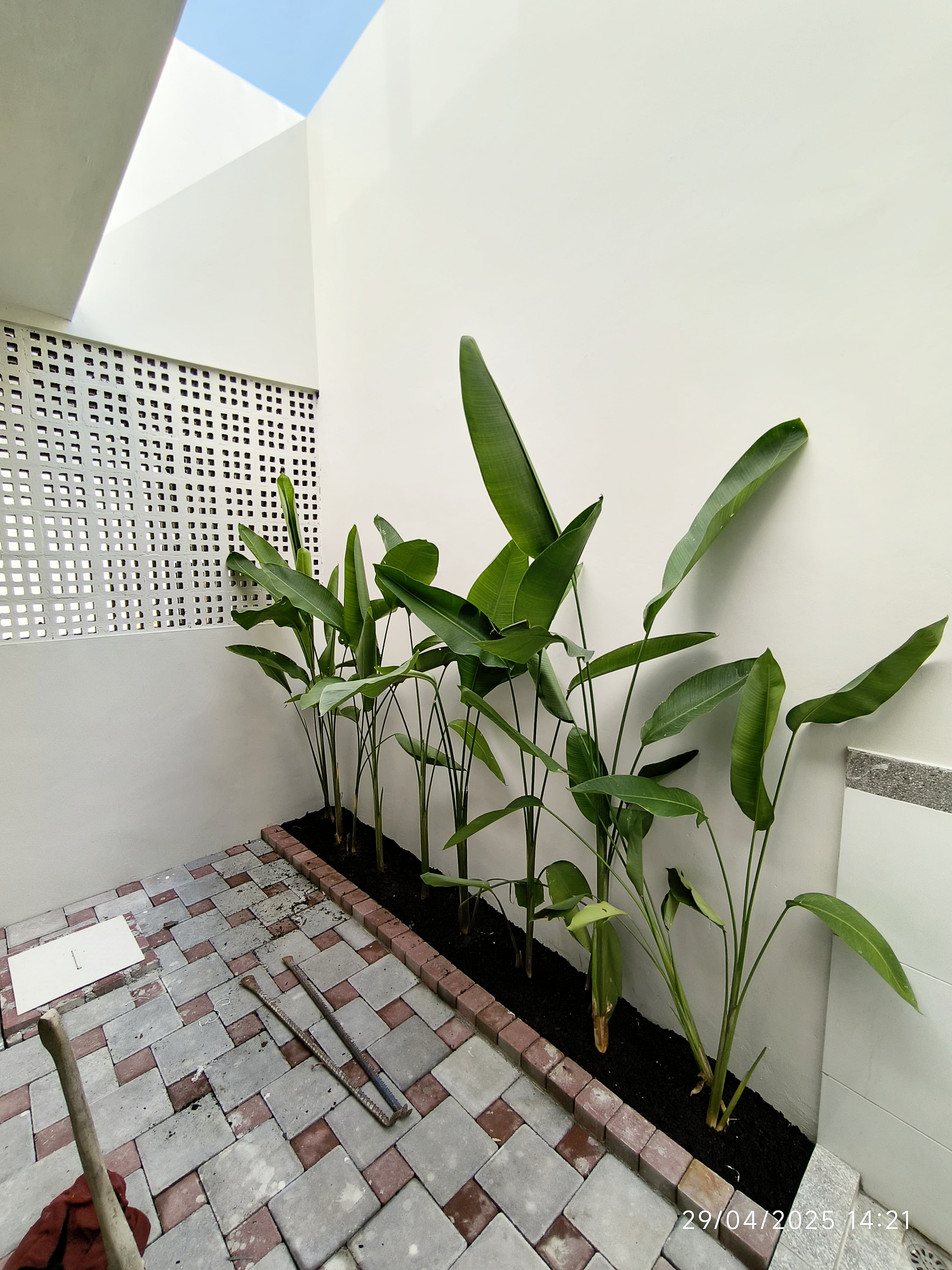 Foto 7
