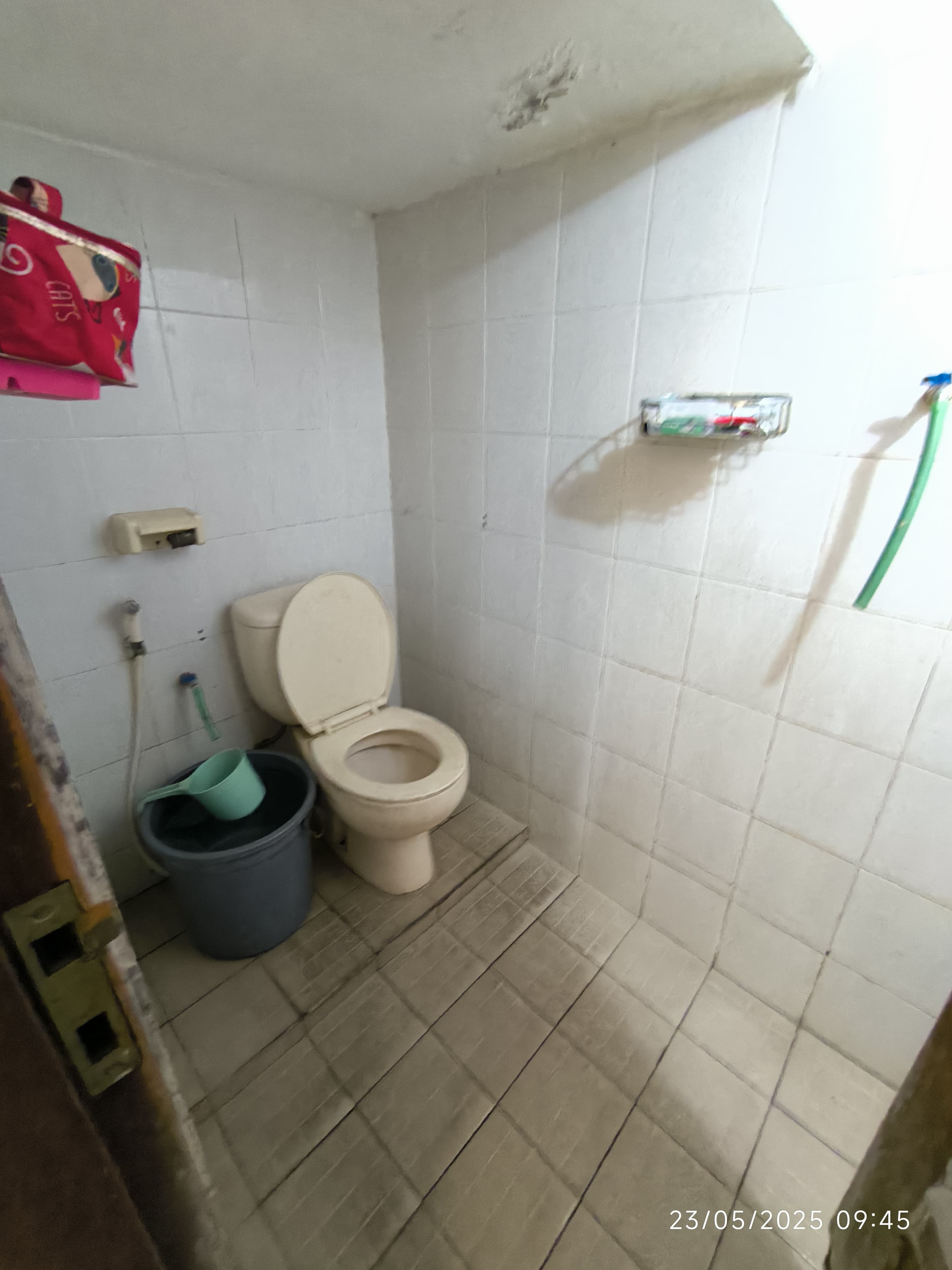 Foto 6