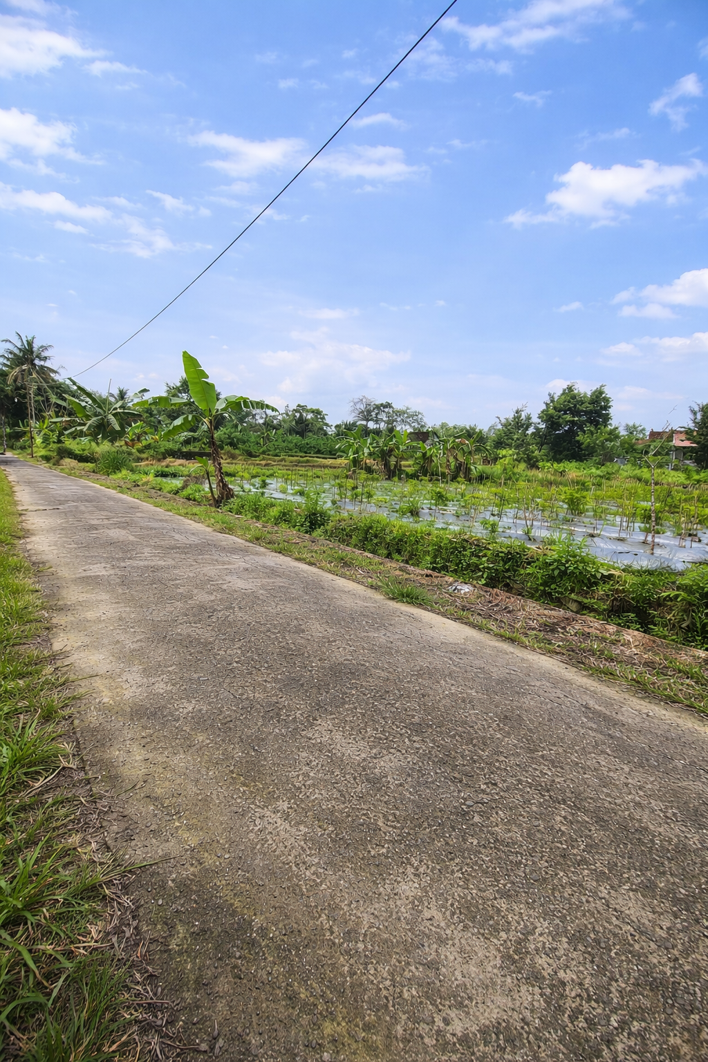 Tanah Luas Jakal Km 14 Sleman 1752m² Dekat UII Cocok Untuk Villa