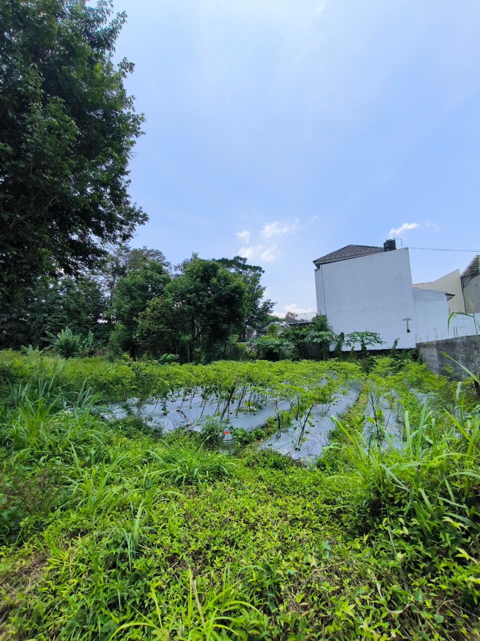 Tanah Strategis Jogja Utara Cocok Untuk Kost Villa dan Guest House Kaliurang